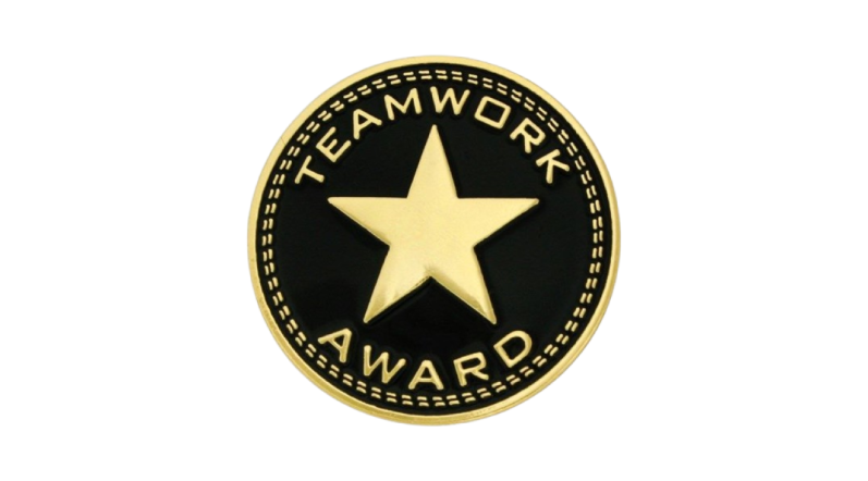 Corporate Recognition Pins_